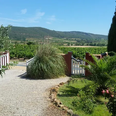 L'ispanina *
